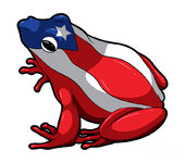 puerto-rican-coqui-frog-puerto-rico-mister-tee.jpg